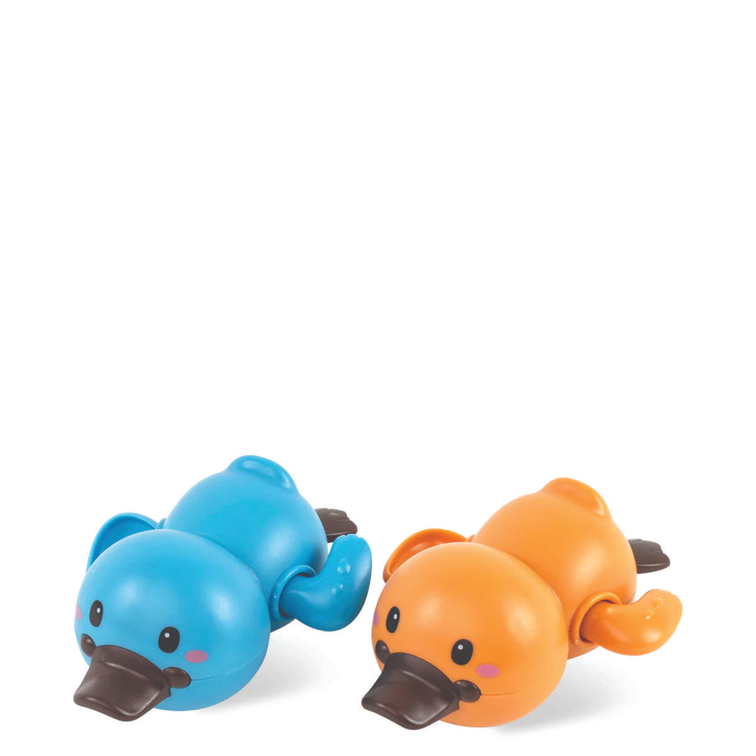 Bath Racers - Platypuses